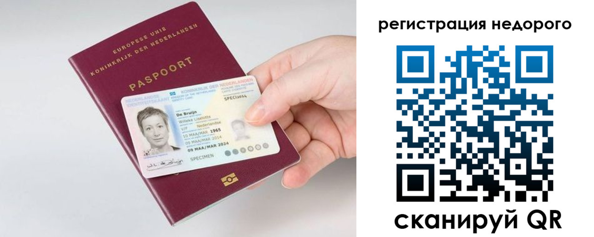 временная регистрация гарантия в Семилуках